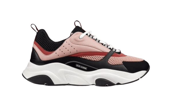 Dior B22 Rosas Negro