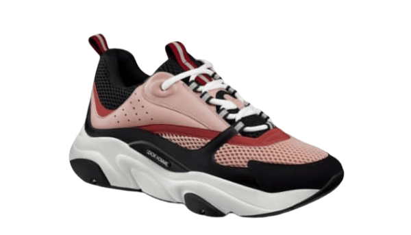 Dior B22 Rosas Negro