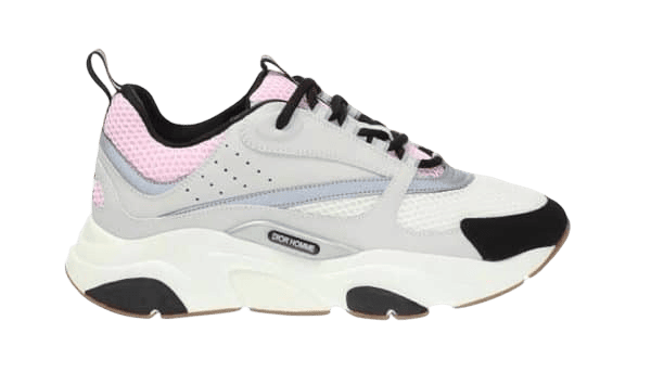 Dior B22 Pink Grey