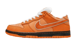 Nike Dunk Lobster Orange