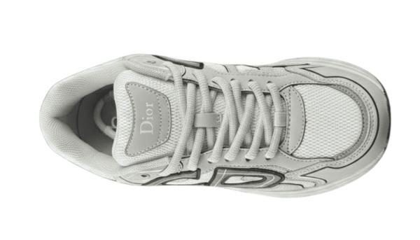 zapatillas Dior B30 gris claro